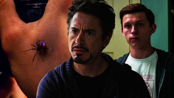 نظرية: ايرون مان ابتكر العنكبوت الذي قرص بيتر باركر